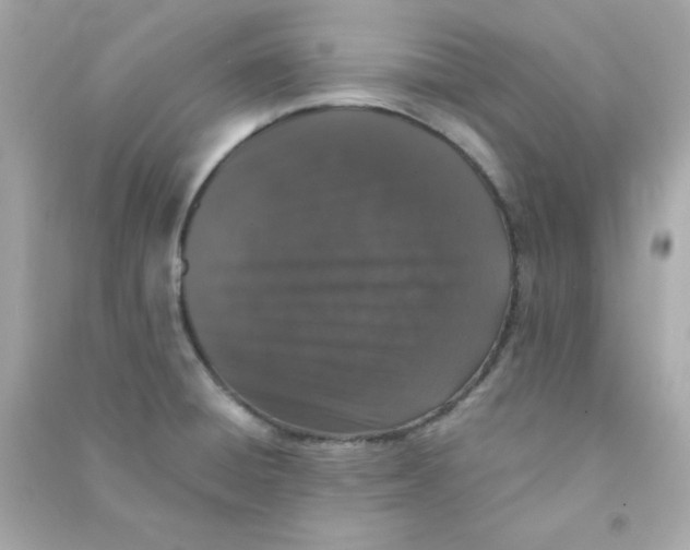 X0000090451428200708102039