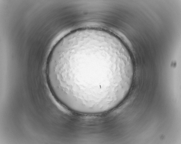 X0000090451429200708102039