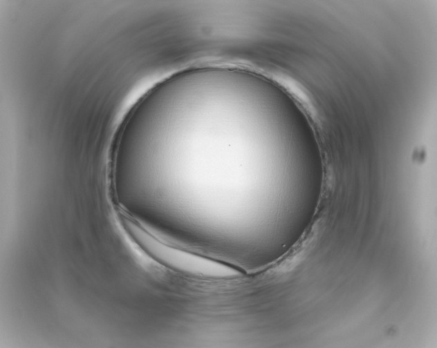 X0000090451430200708102039