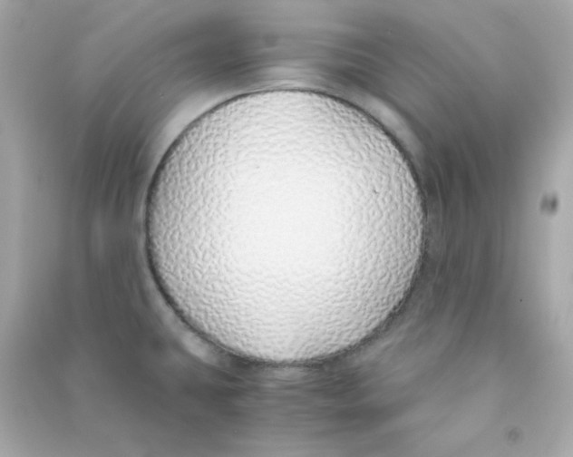 X0000090451431200708102039