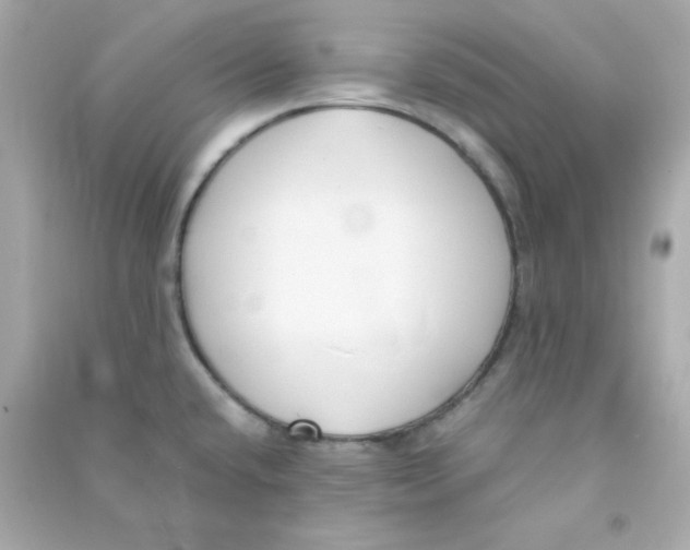 X0000090451432200708102039