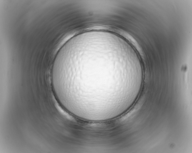 X0000090451433200708102039