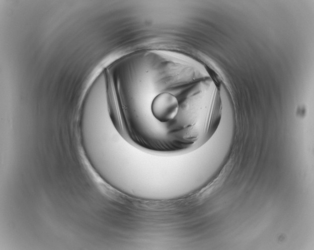 X0000090451434200708102039