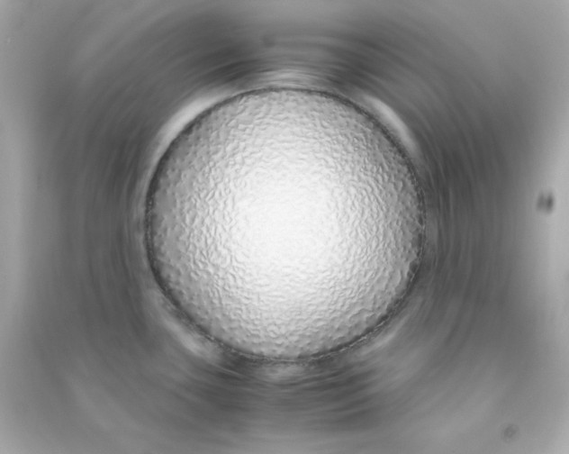 X0000090451435200708102039