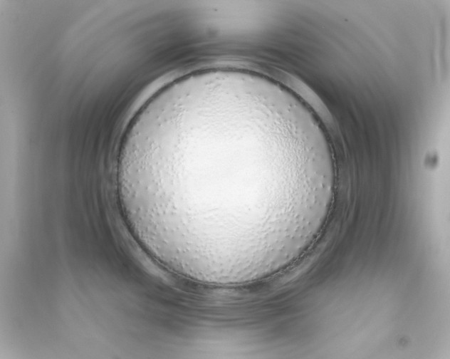 X0000090451436200708102039