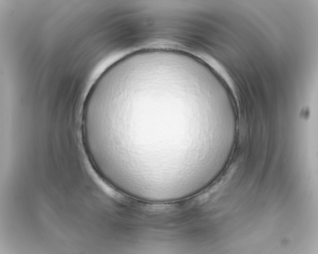 X0000090451437200708102039