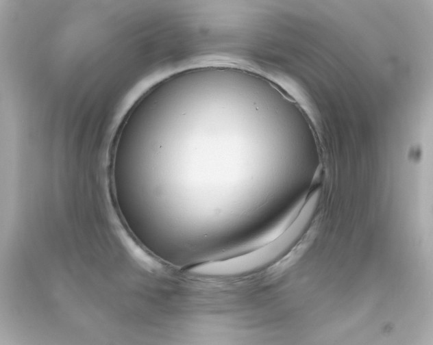 X0000090451438200708102039