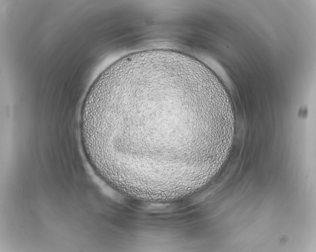 X0000090451439200708102039