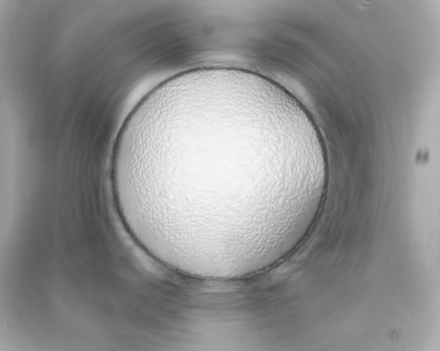 X0000090451440200708102039