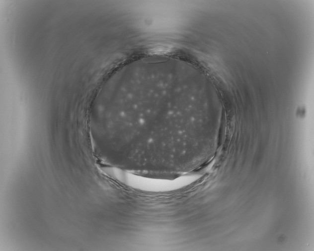 X0000090451441200708102039