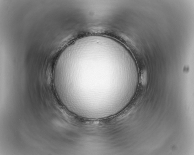 X0000090451444200708102039