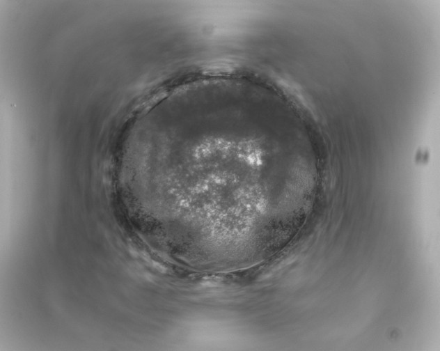 X0000090451445200708102039