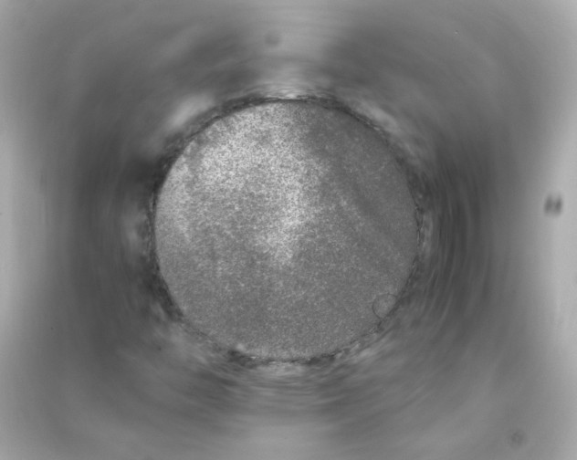 X0000090451446200708102039