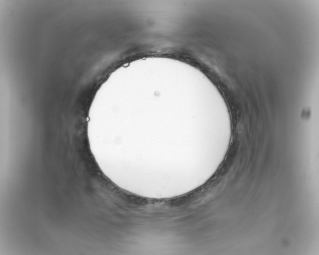 X0000090451447200708102039