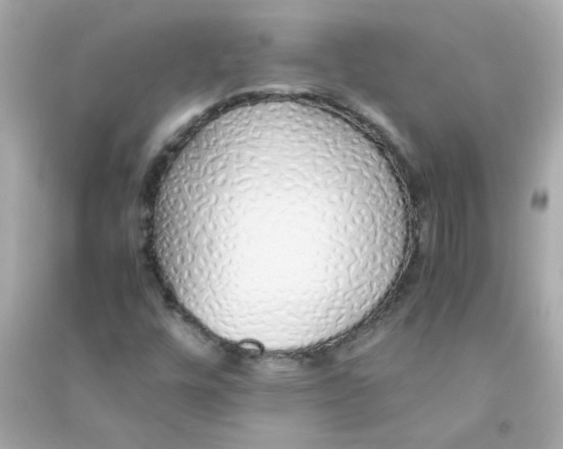 X0000090451448200708102038