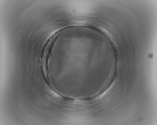 X0000090451449200708102038