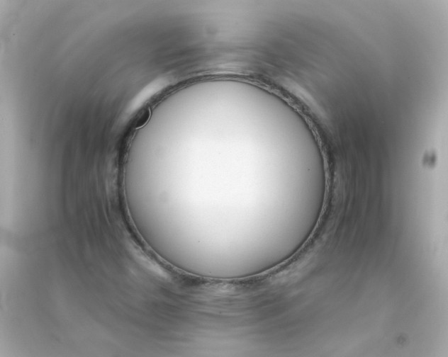 X0000090451450200708102038