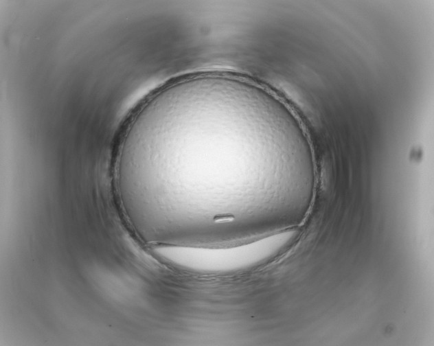 X0000090451452200708102038