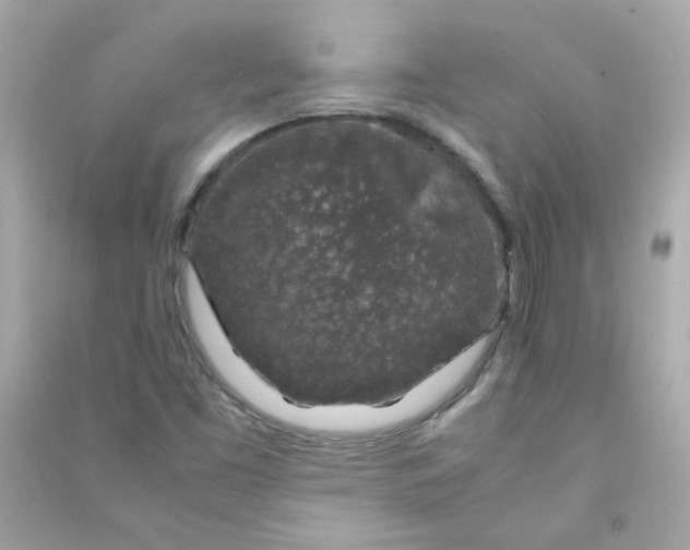 X0000090451453200708102038