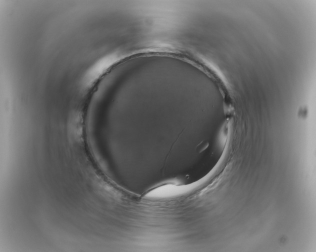 X0000090451455200708102038