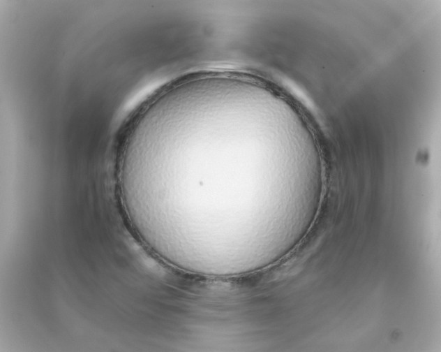 X0000090451456200708102038