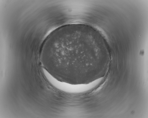 X0000090451457200708102038