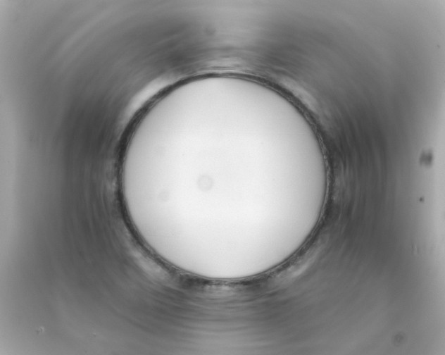 X0000090451458200708102038