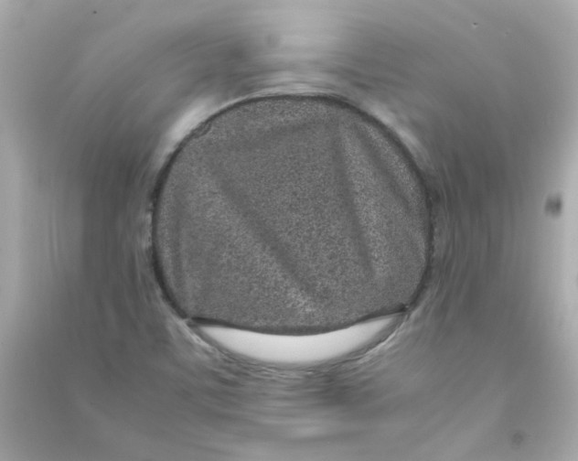 X0000090451459200708102038