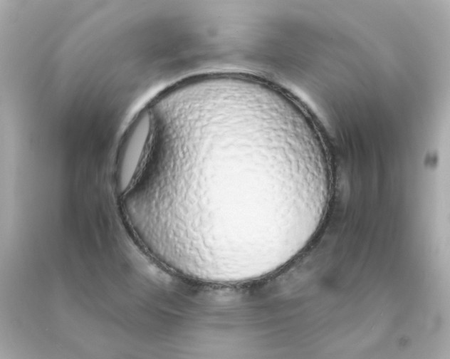 X0000090451460200708102038