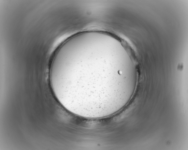 X0000090451461200708102038