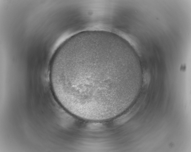 X0000090451462200708102038