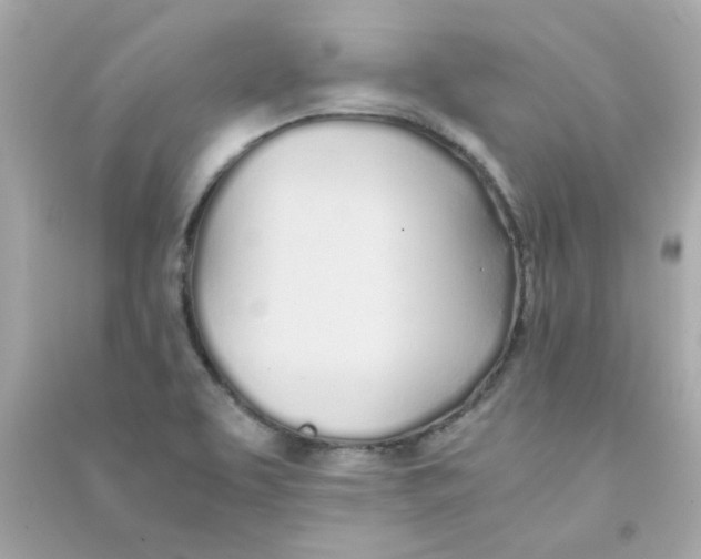 X0000090451463200708102038