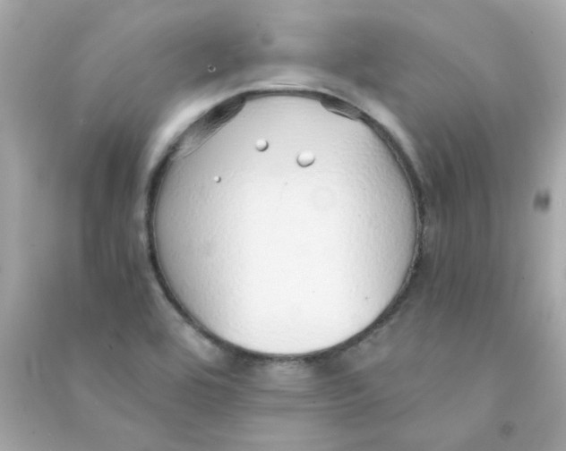 X0000090451464200708102038