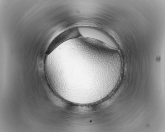 X0000090451465200708102038