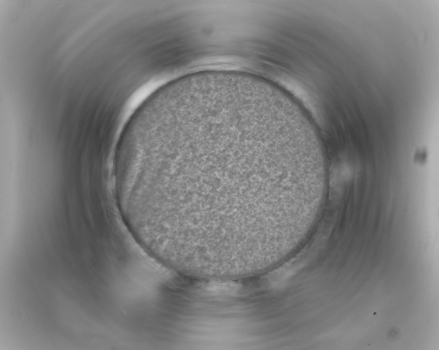 X0000090451466200708102038