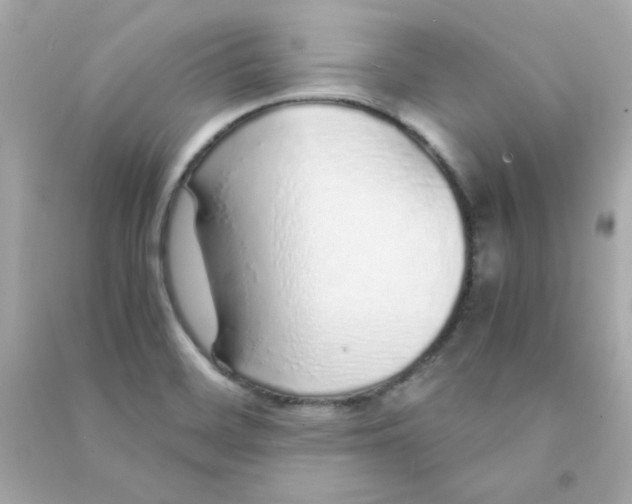 X0000090451468200708102038