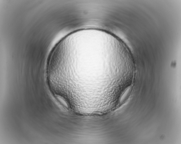 X0000090451469200708102038