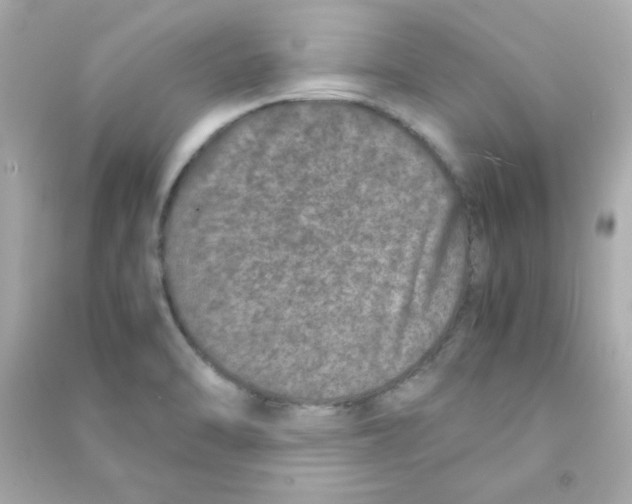 X0000090451470200708102038