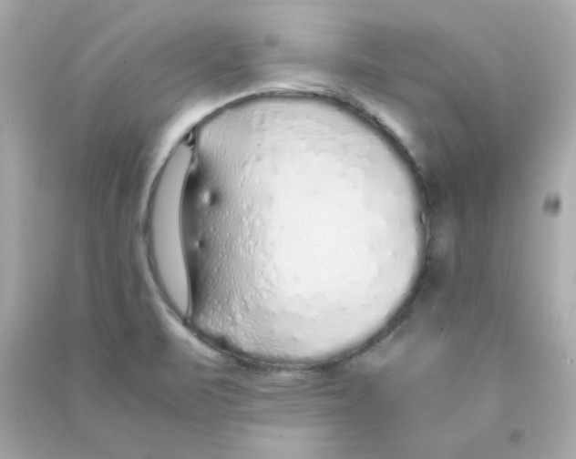 X0000090451471200708102038