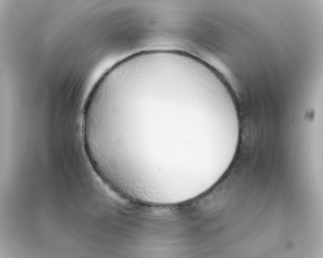 X0000090451472200708102038