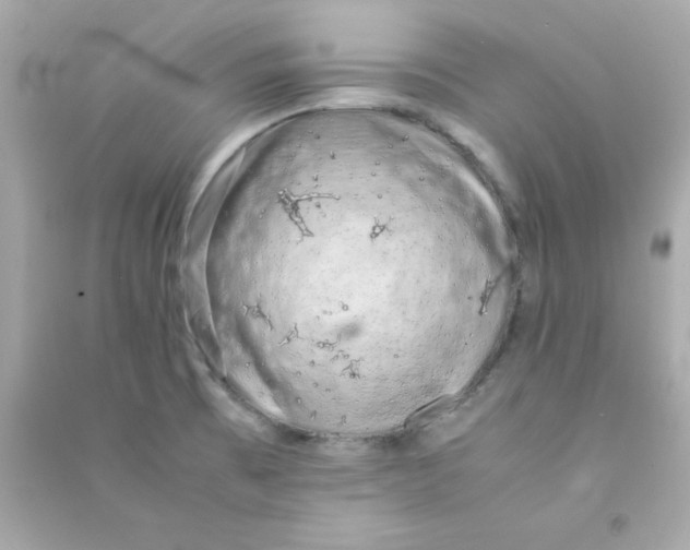 X0000090451473200708102038