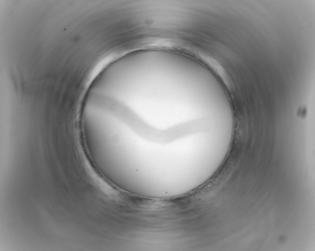 X0000090451475200708102038