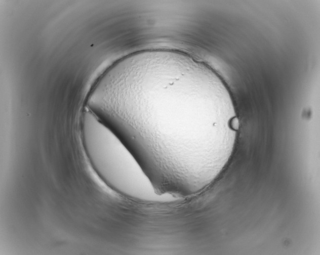 X0000090451476200708102038