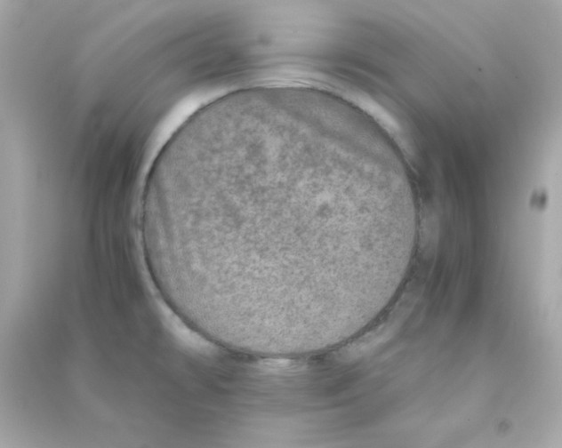 X0000090451478200708102038