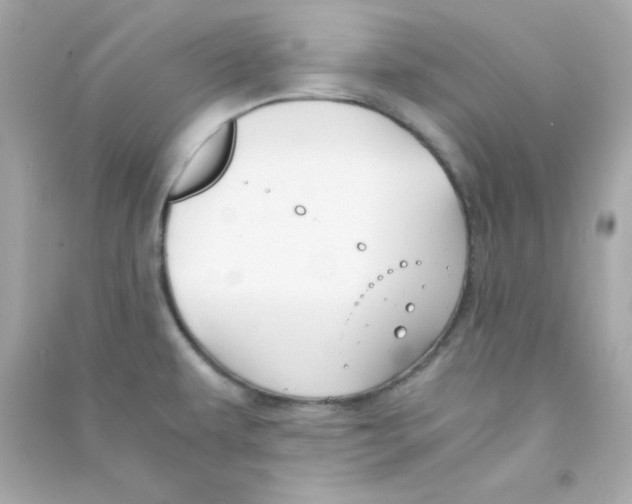 X0000090451479200708102038