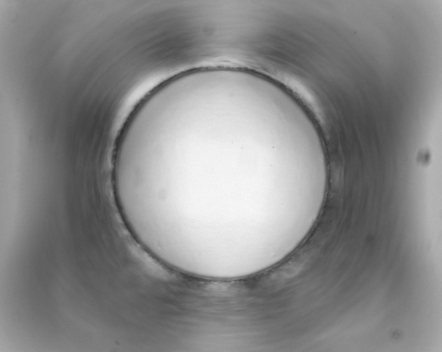 X0000090451480200708102038