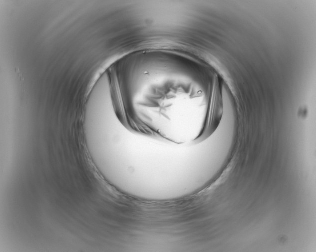 X0000090451481200708102038