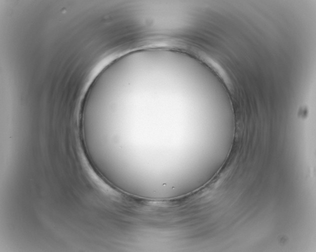 X0000090451483200708102038