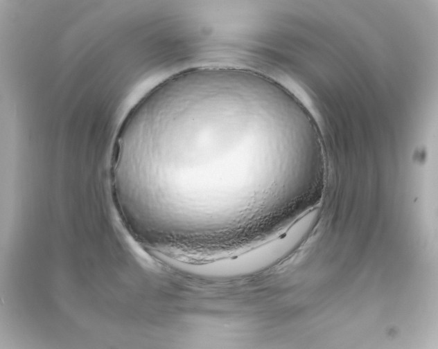 X0000090451485200708102038