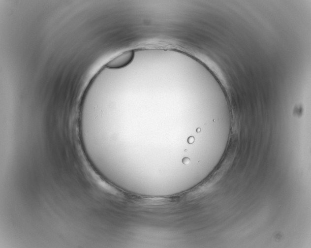 X0000090451486200708102038